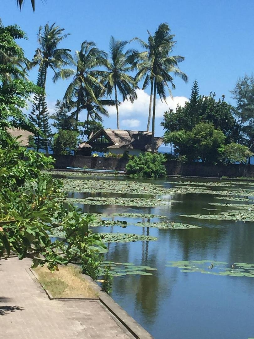We just stopped" Tenganan "a village over 1000 years old avery interesting place we are now having lunch where the lily pads live. Rick and Phil I think this is where mom and dad got us.