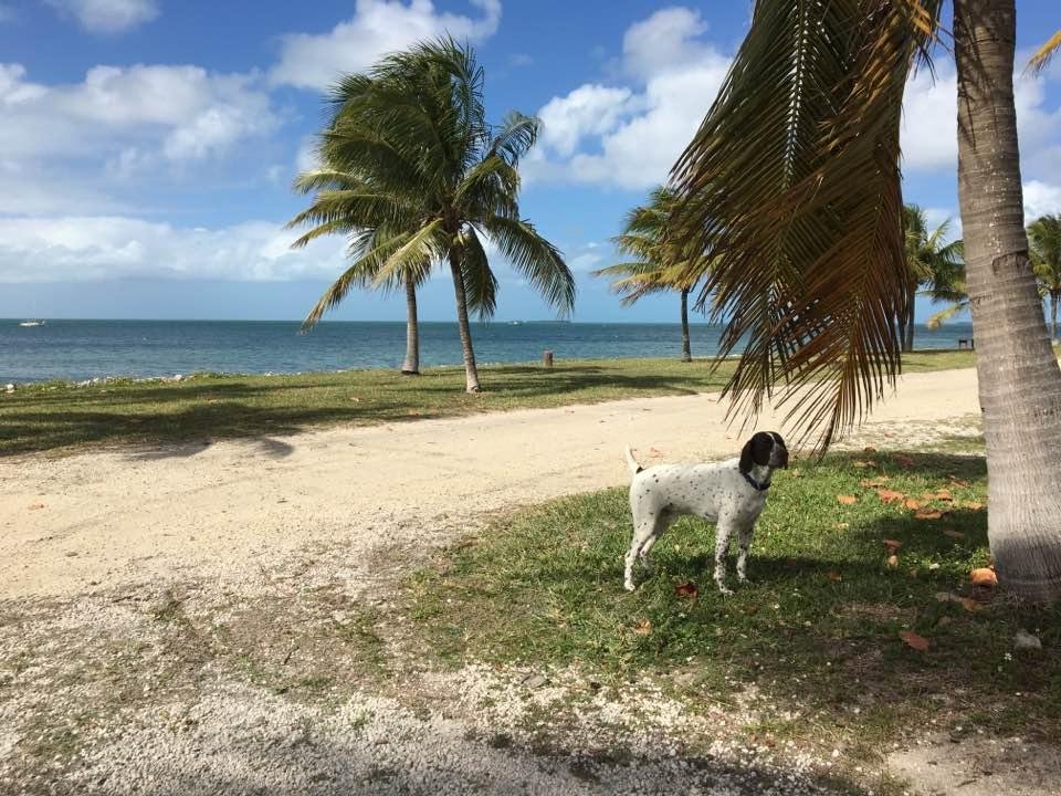 Rebel checking out the new space