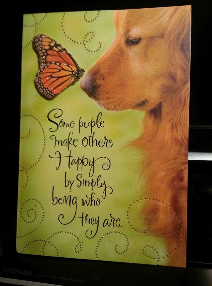 Best Friends Birthday Card to me made me ...... appreciate those who care about me unconditionally.
Could be Gabriel my Service Dog at any given time ...... looking for a playmate.