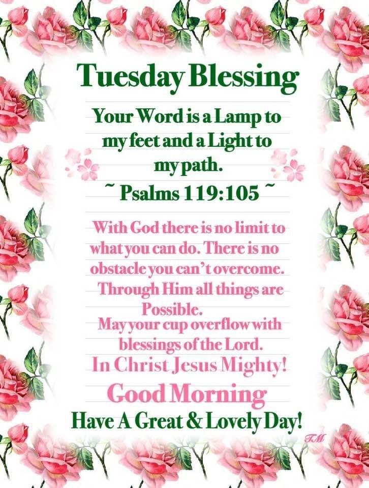 Godbless Everyone 🌈🦋❤️🌼🙌😇