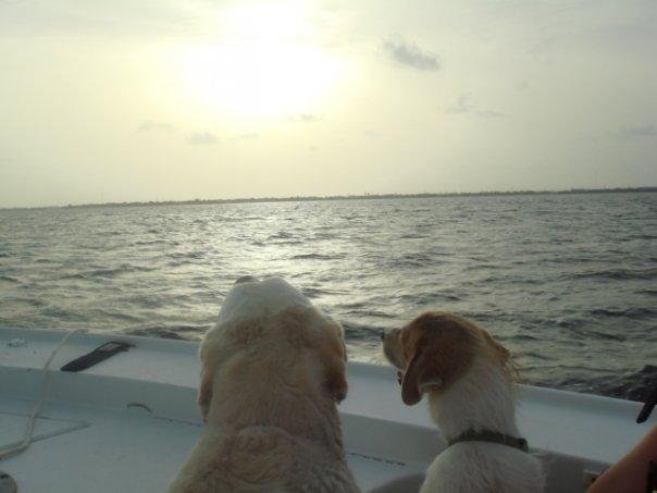 The boys enjoying the sunset