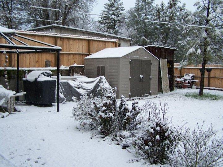 Edwin Benner's album, January 1, 2011