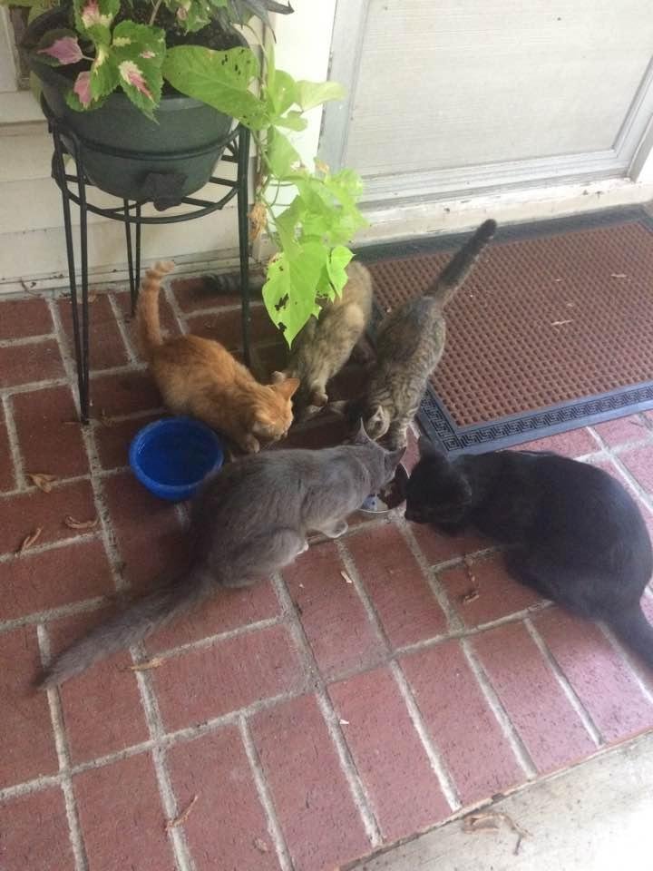 Feeding time !! 🌝