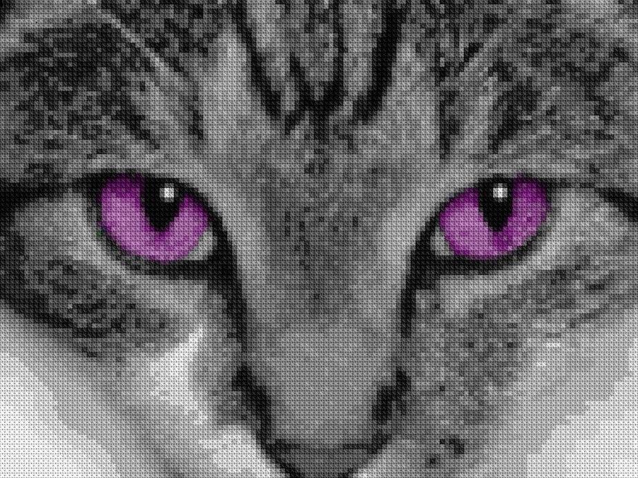 Gordon Frank's album, Timeline photos