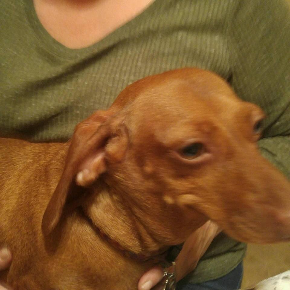 This is my last baby that I got. My sister has got her spoiled that is for sure
