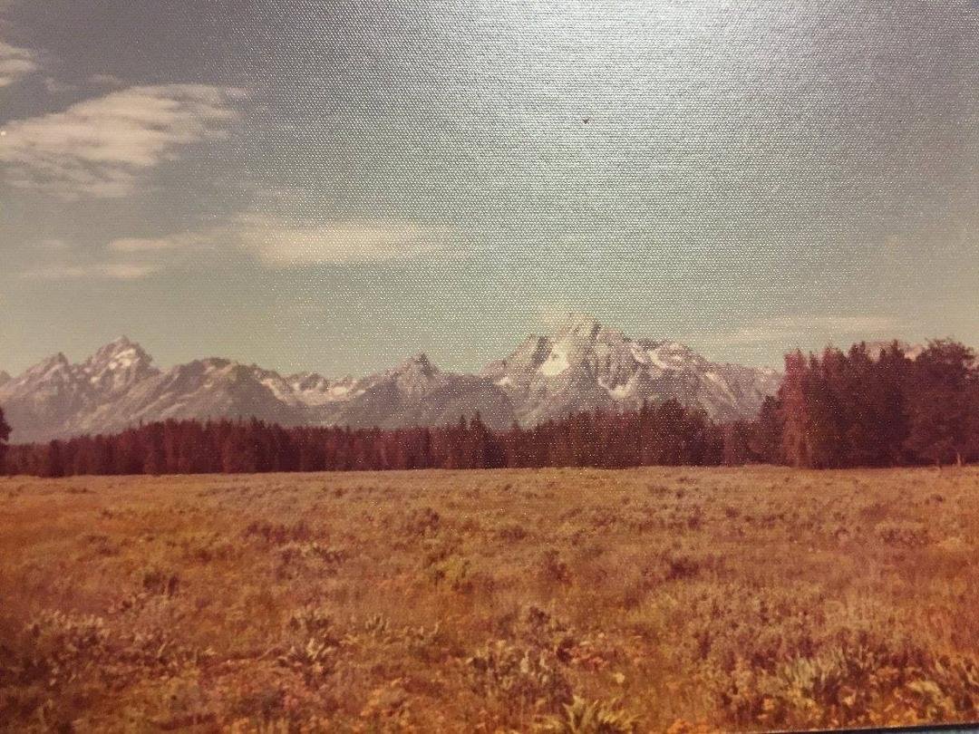 JERRY SIMPSON's album, Scenic Vacation