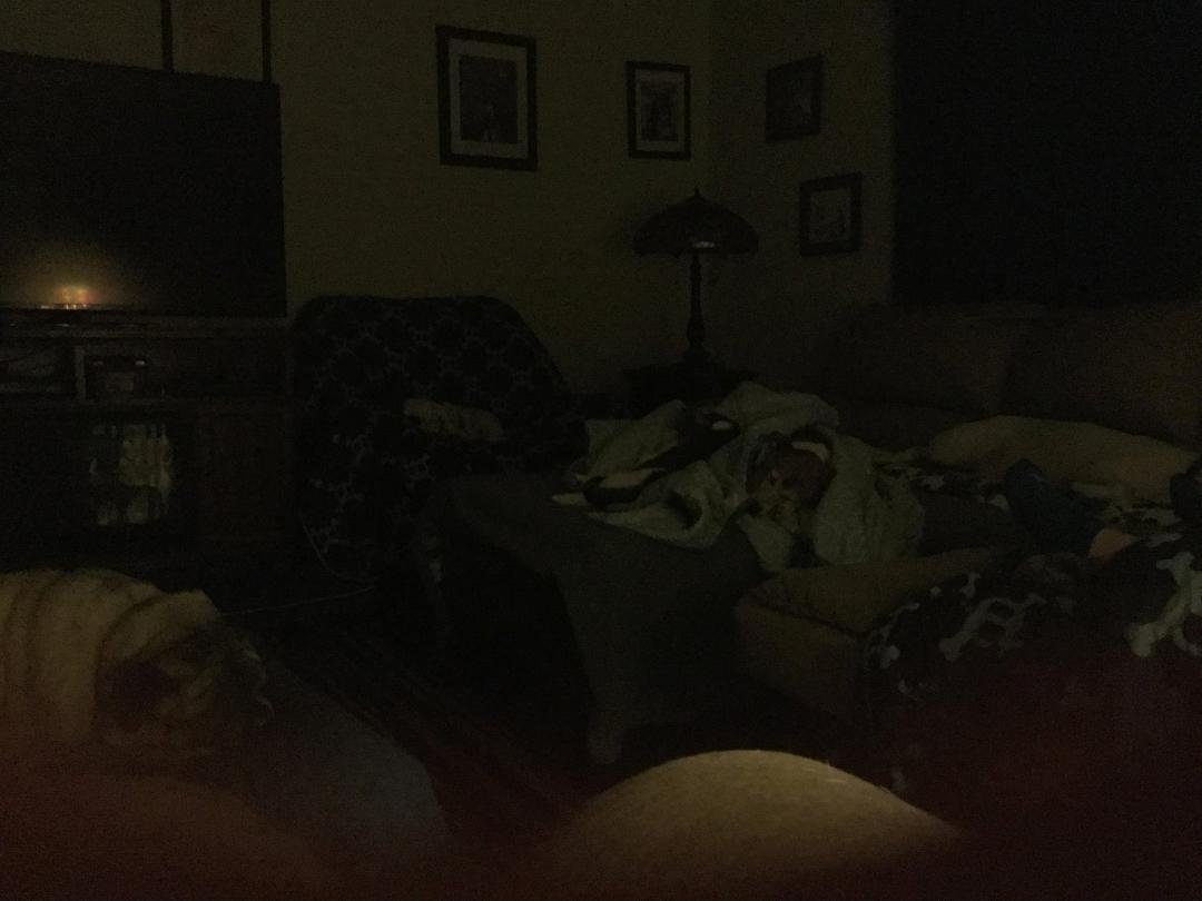 The hard life! I know the picture is dark....everyone is sleeping before we go to bed. Ethel, Molly, Peanut, BB (on the bunched up blanket) and Jack.