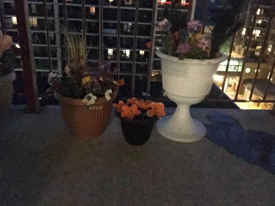 Doug Pollen's album, Timeline Photos