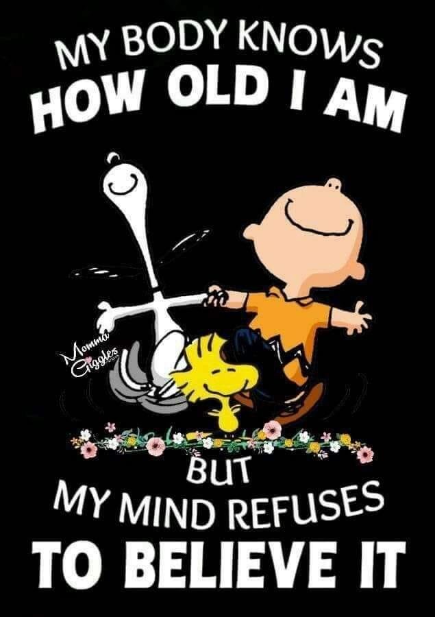 True !!