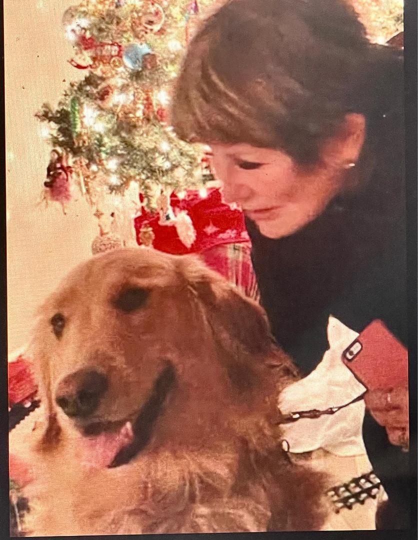 Kim Dolan's album, Mobile uploads