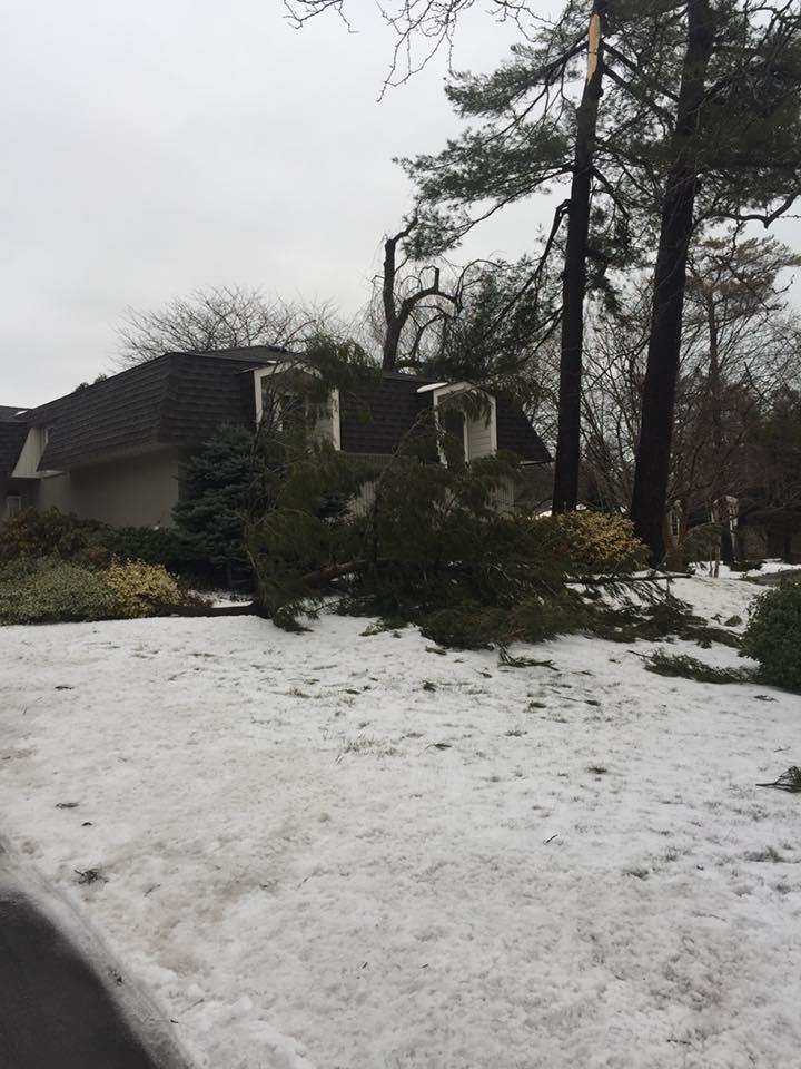 Little damage from the ice storm. Good news is it missed the house