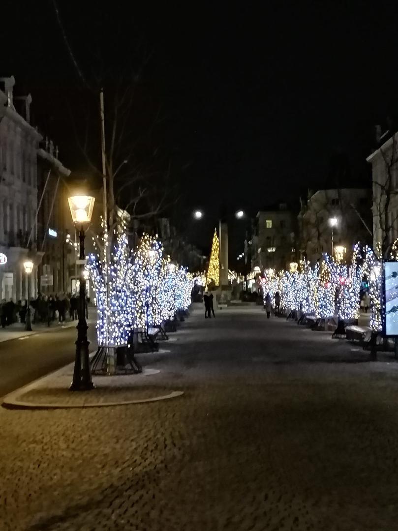 "Wiek" kerst verlichting op de stationstraat.