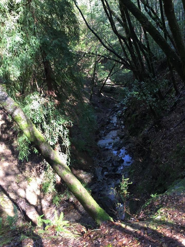 Dawn falls . Larkspur canyon.
