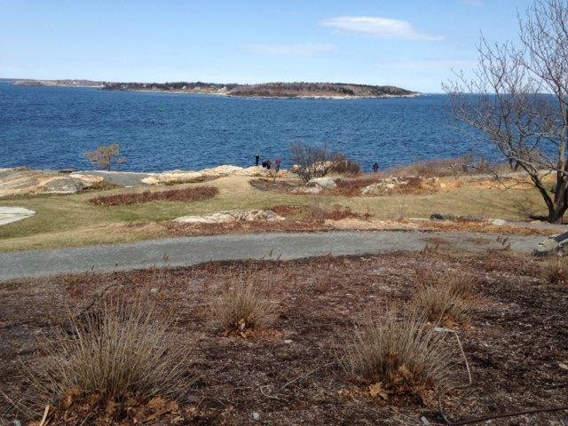 Gerri Chizeck's album, Timeline Photos