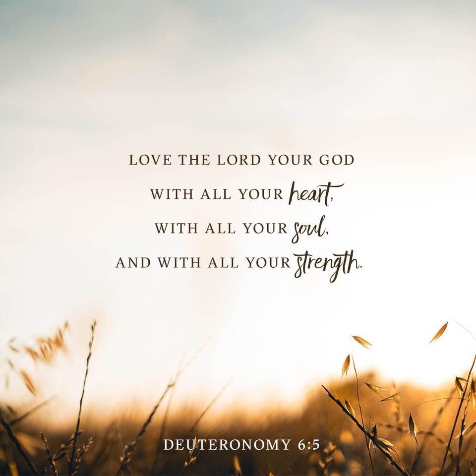 Pat Kaiser's album, Timeline Photos