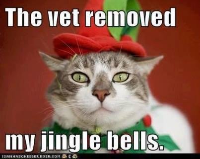Jacki Russell's album, Timeline Photos
