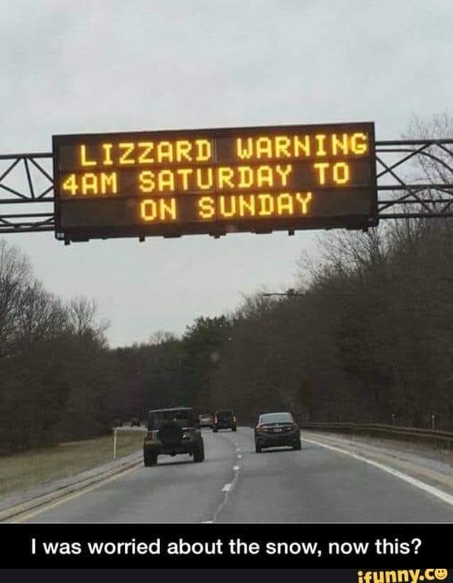 When it's forecasted to freeze in Florida: