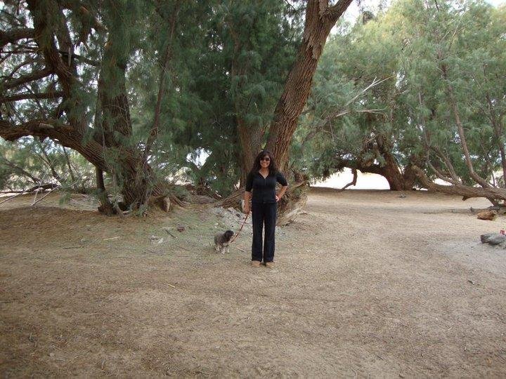My daughter in law,Jemina walking the dog