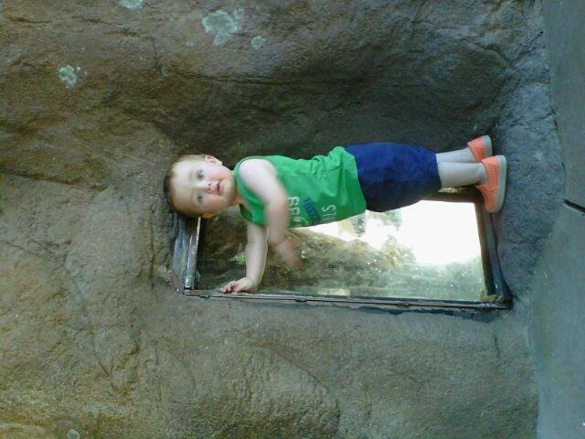 Noah at the zoo @ 21 months
