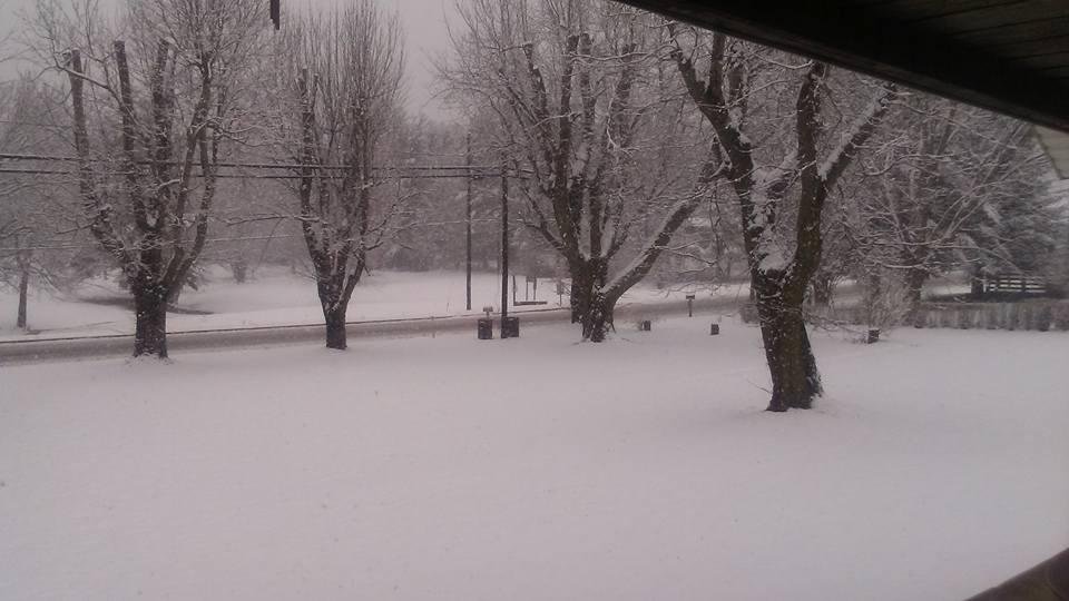 Tamara Matteson's album, Timeline Photos