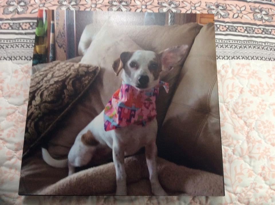 Judy Wallen's album, Mobile Uploads