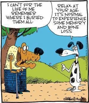 Ben Holeman's album, Timeline Photos