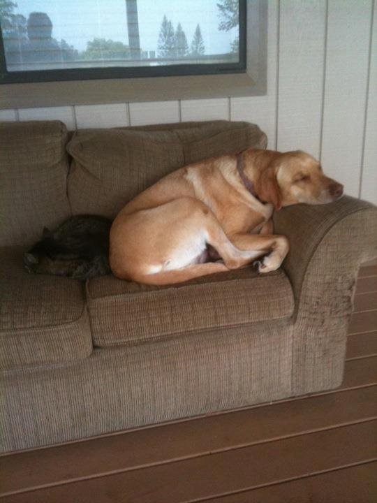 The kids at rest