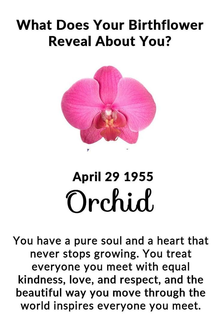 Jerry Hendrix's album, Timeline Photos
