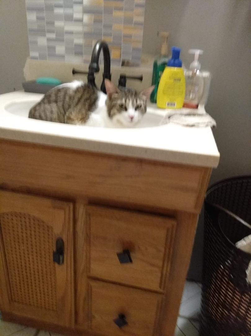 She thinks she needs to get in the think sink and sit