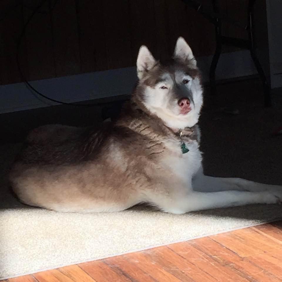 Great shot of our Minnie.