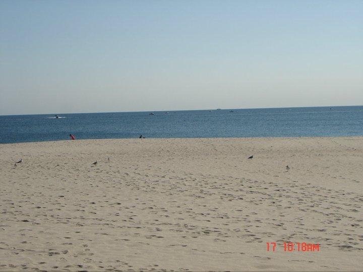 Pt Pleasant NJ