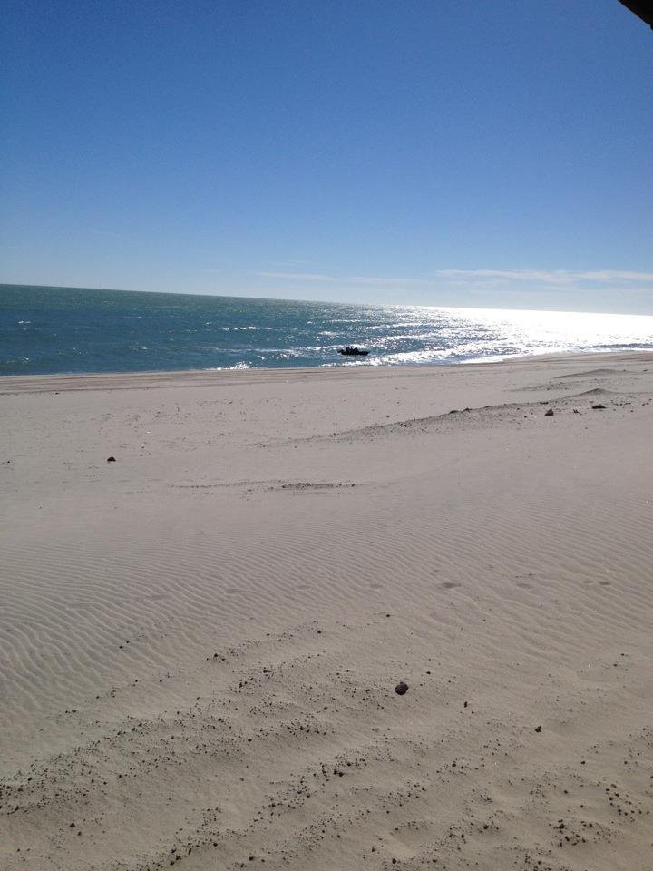 Steve Hartman's album, Mobile Uploads