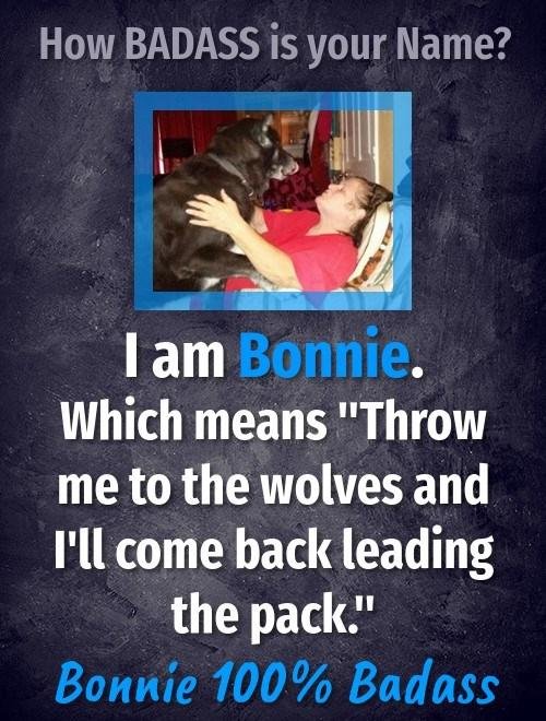 Bonnie Lundy's album, Mobile Uploads