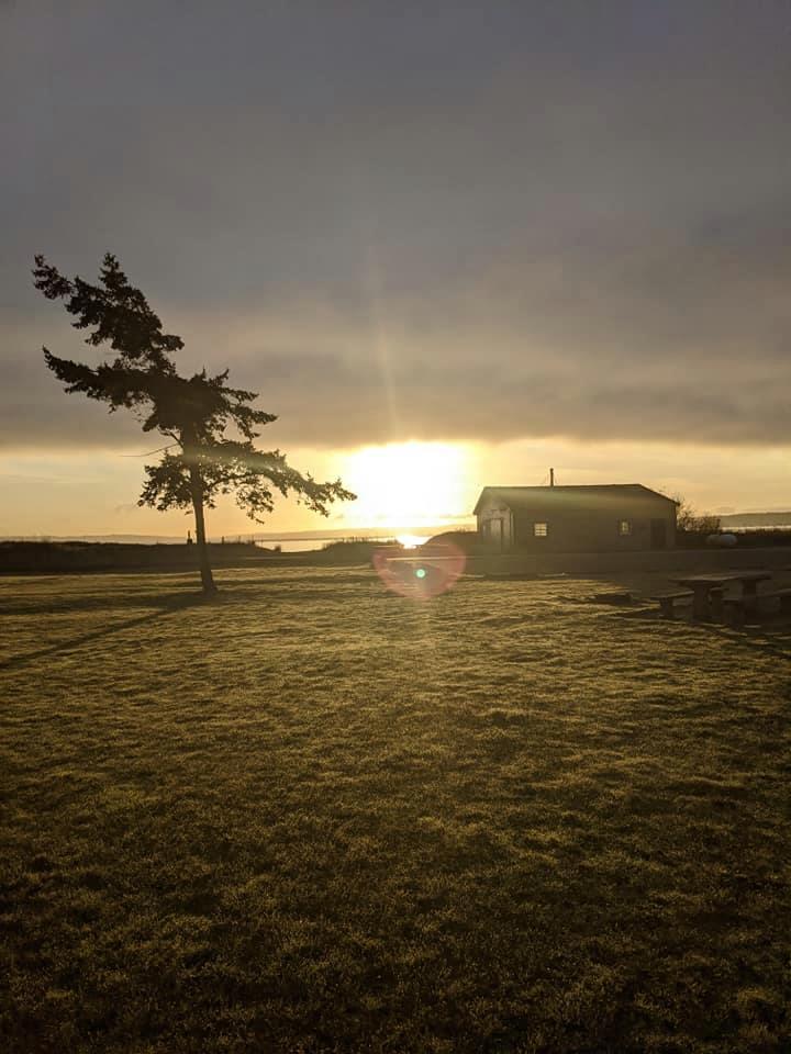 James Coffey's album, Mobile uploads