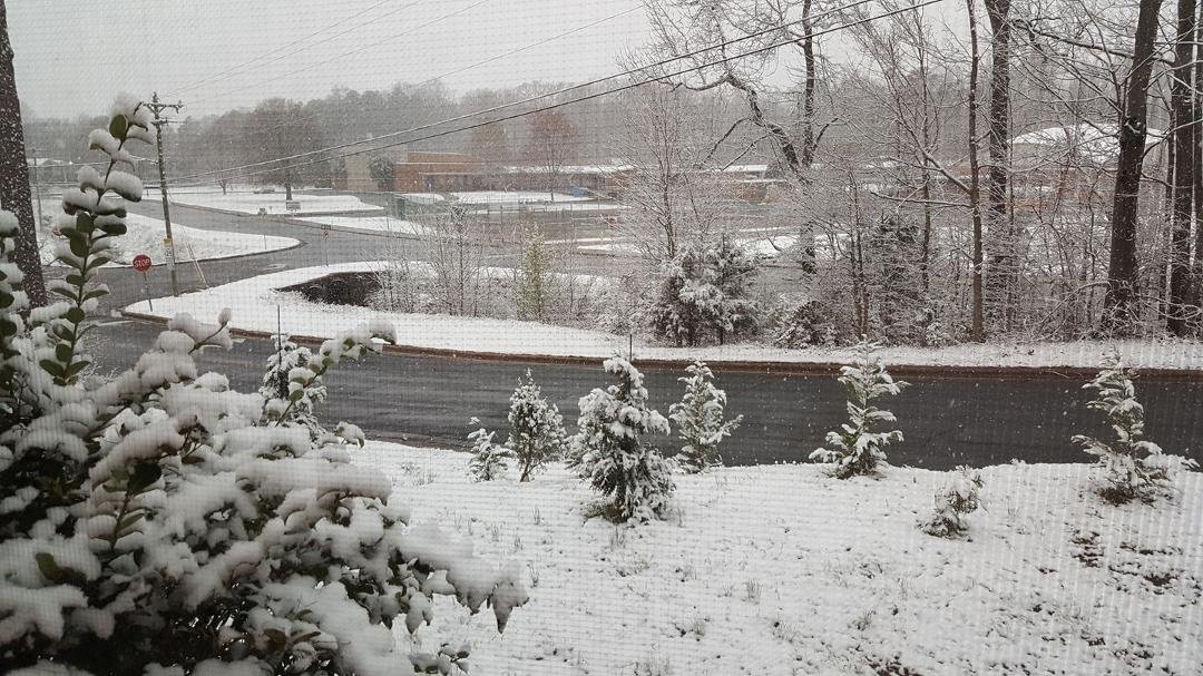 From window. After Spring comes ???