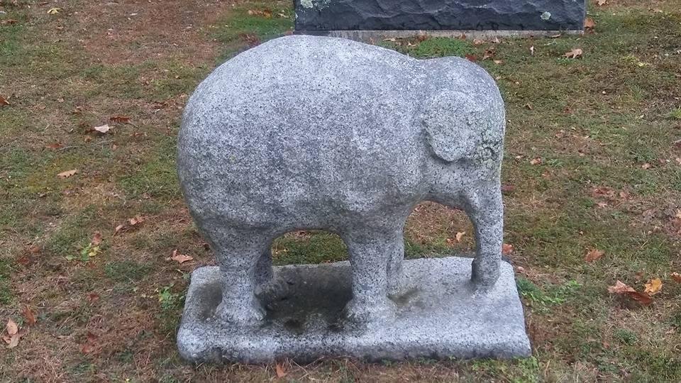 Larry Graef's album, Mobile Uploads