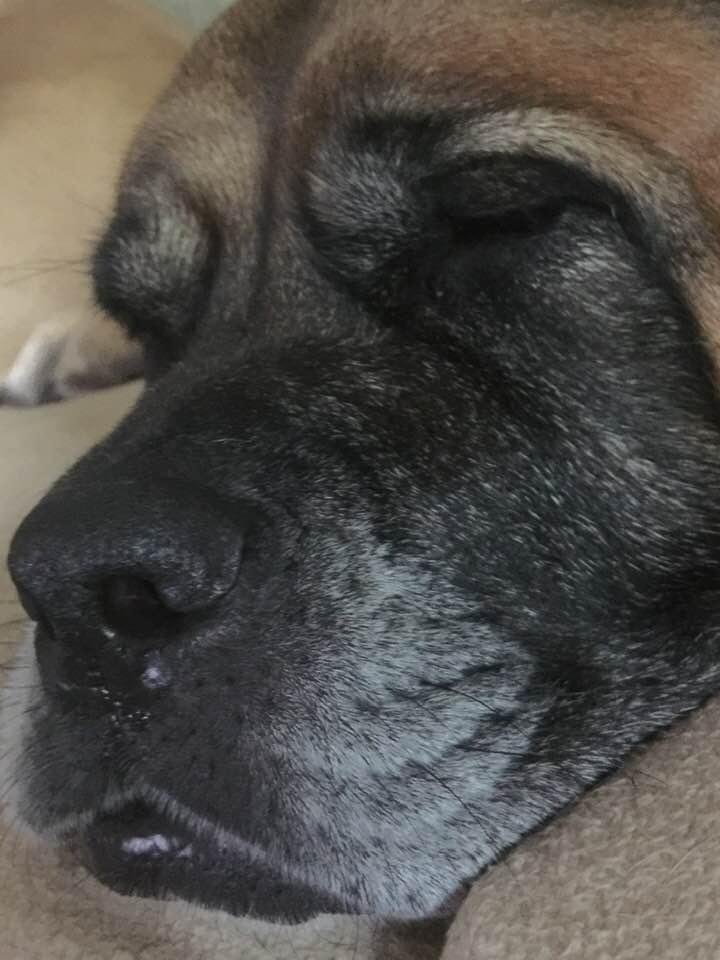 Pretty girl