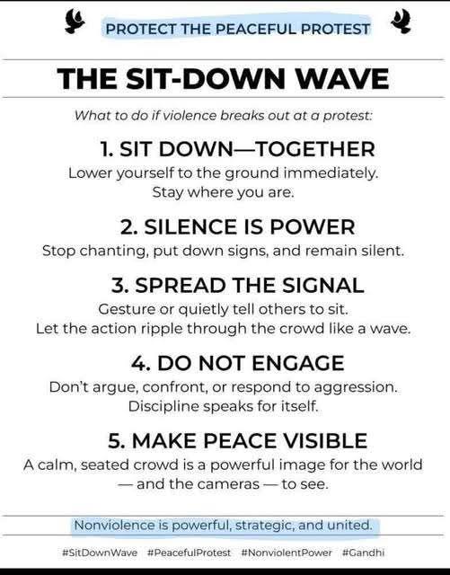 This is very valuable guidance, not just for the demonstrators in Los Angeles, but for protesters everywhere.  Mass protests are the most effective way to stop the authoritarian, extra-constitutional state that Trump is try