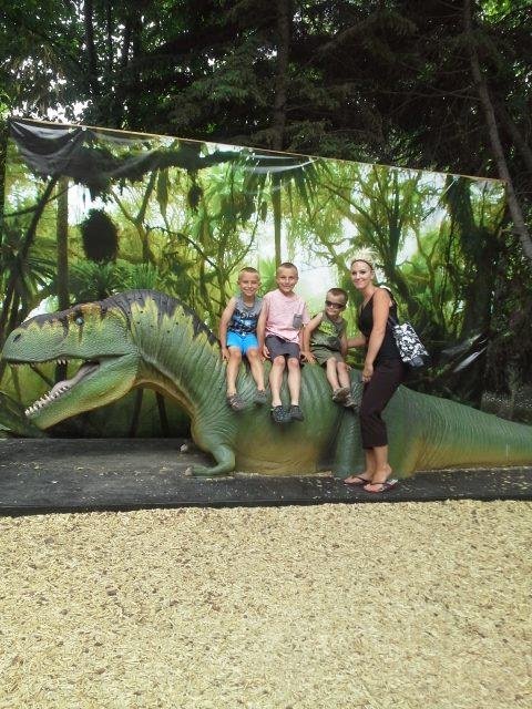 A day at the zoo