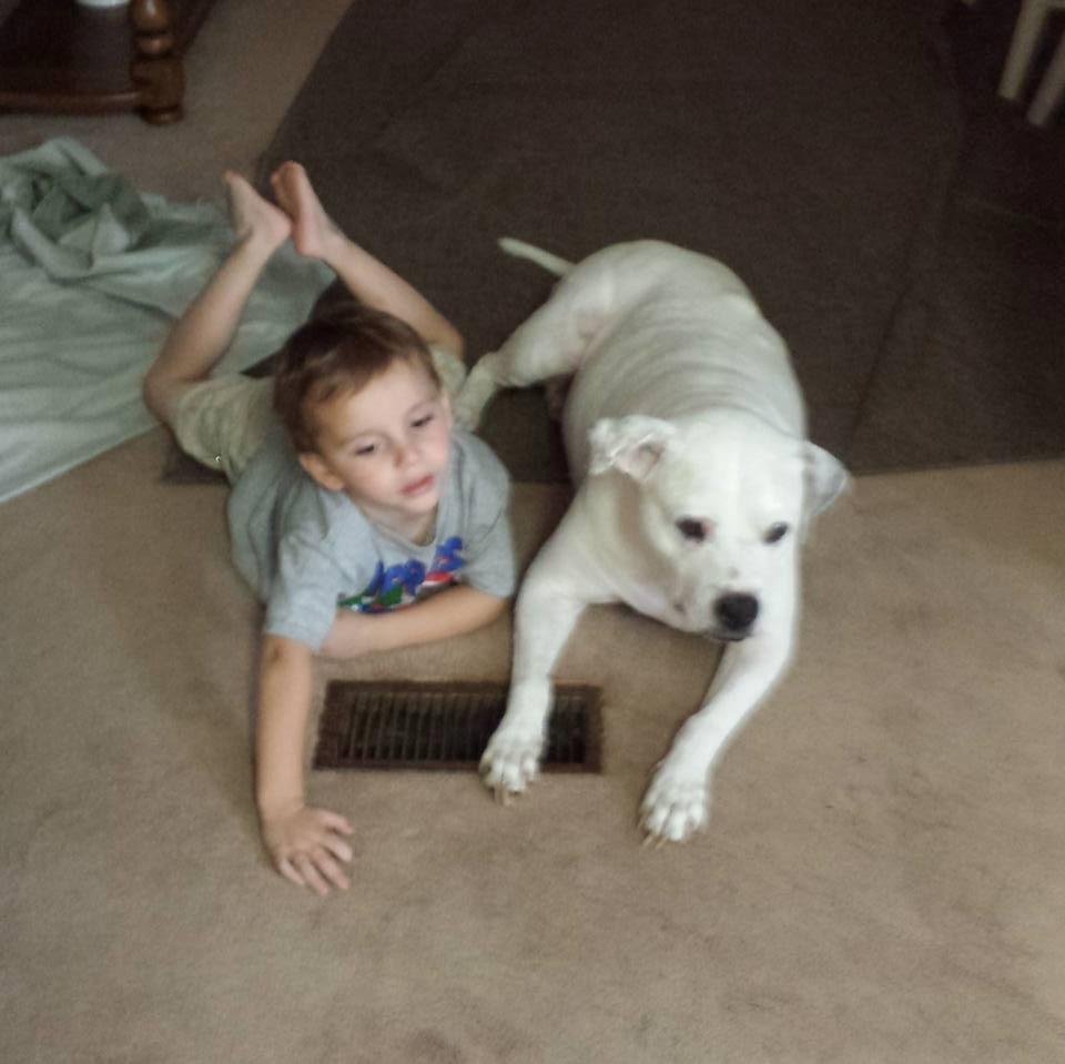 Lil Roy got to come down to Victoria to hang out with his meme for the week. As you can see Fedi won out...Loved having him here