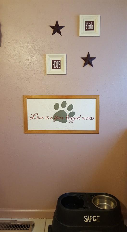 What a fantastic job! Lynn and Elizabeth did a great job of painting, making a framed picture for the dogs and now they are starting on the dogs room! However, I am now ahead on homework for the district. So excited to atl