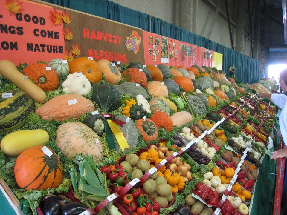 Harvest bounty - Norfolk County Fair - Oct 2010