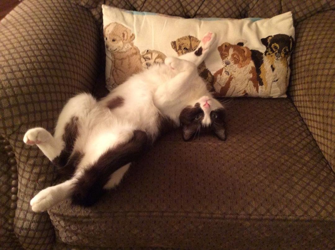 Way too relaxed.