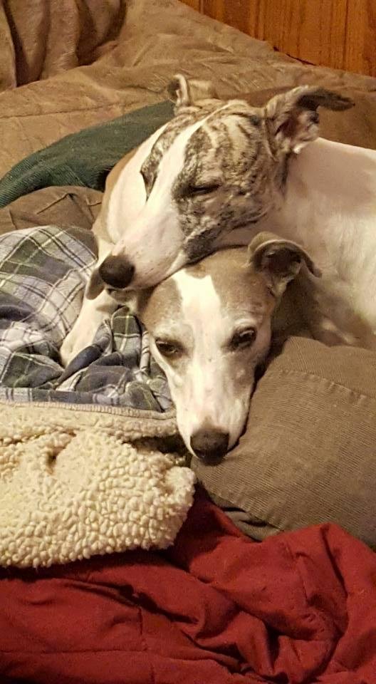 She puts up with so much. She really does like him.