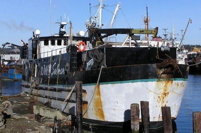 Wild Salmon, Tribal boat
