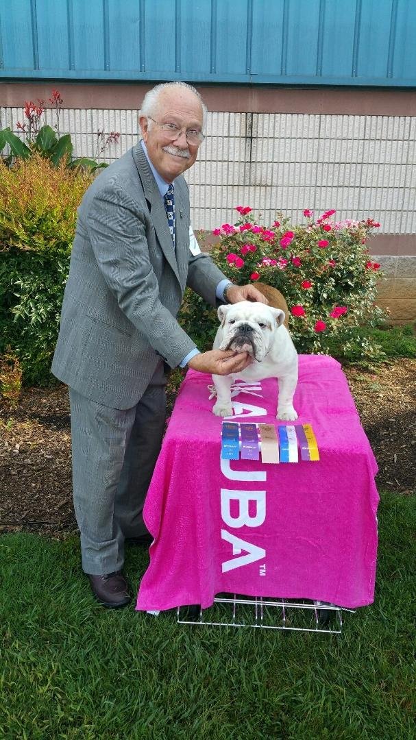 Digby 8 months Best of Breed today Chattanooga