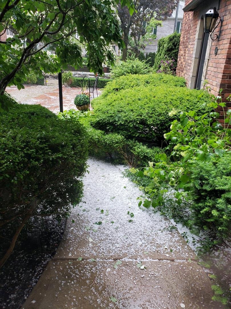 Hail storm in Grosse Pointe 6/13.