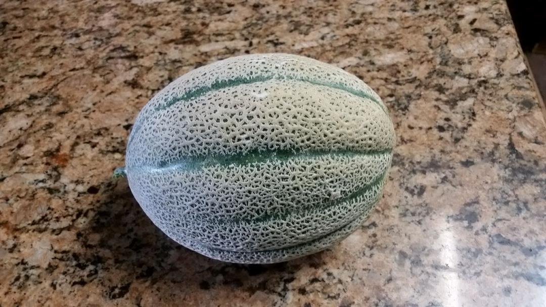 My first cantaloupe from my garden.