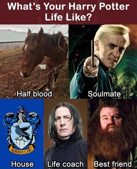 Well, well......
