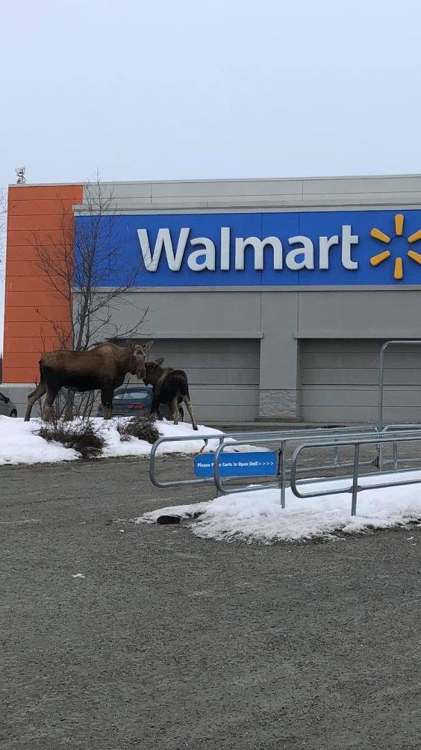 Stopping by Walmart for a few groceries.